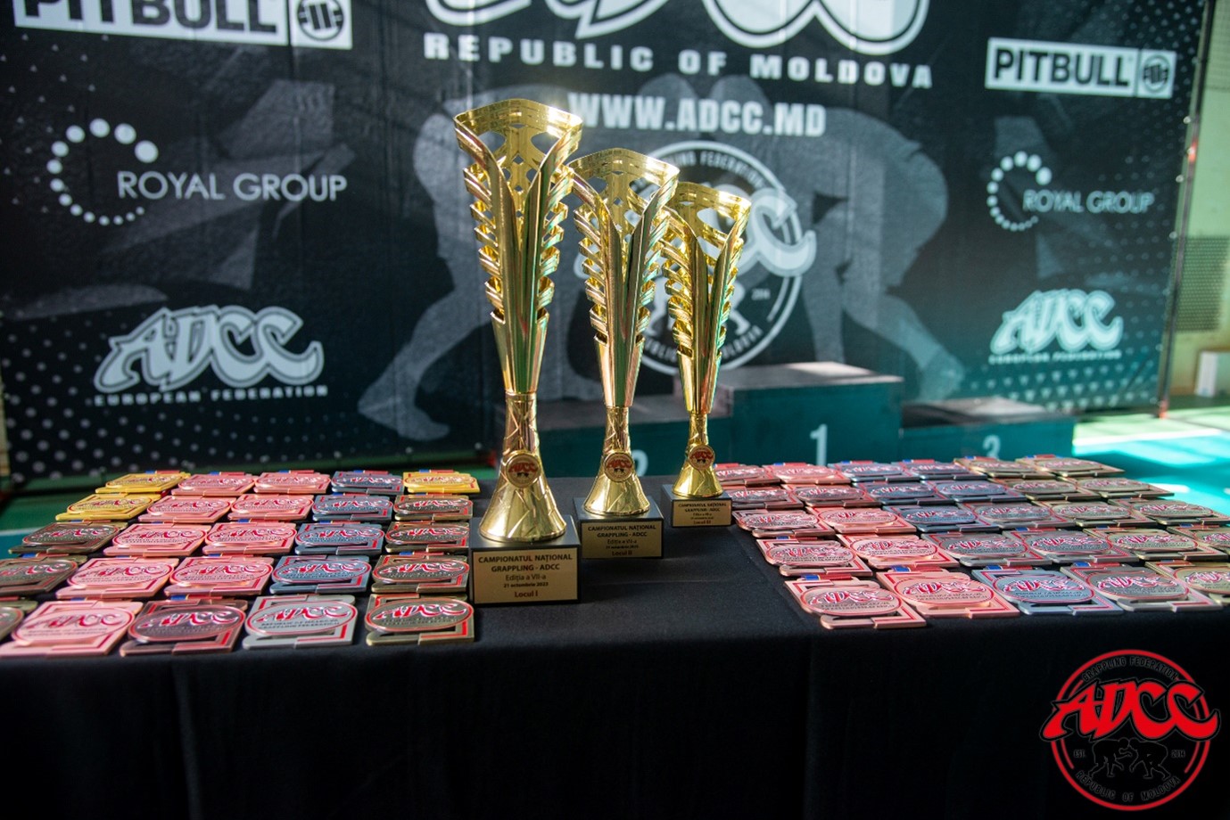 Rezultatele oficiale – Campionatul Național de Grappling – ADCC ed. a VII-a 21 Octombrie 2023